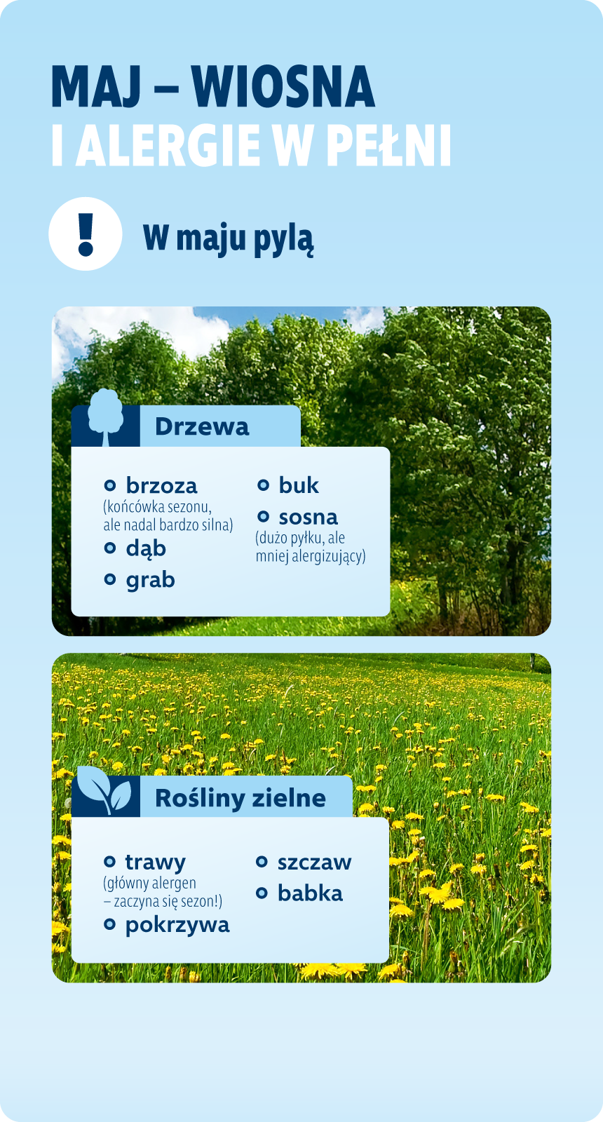 alergy calendar