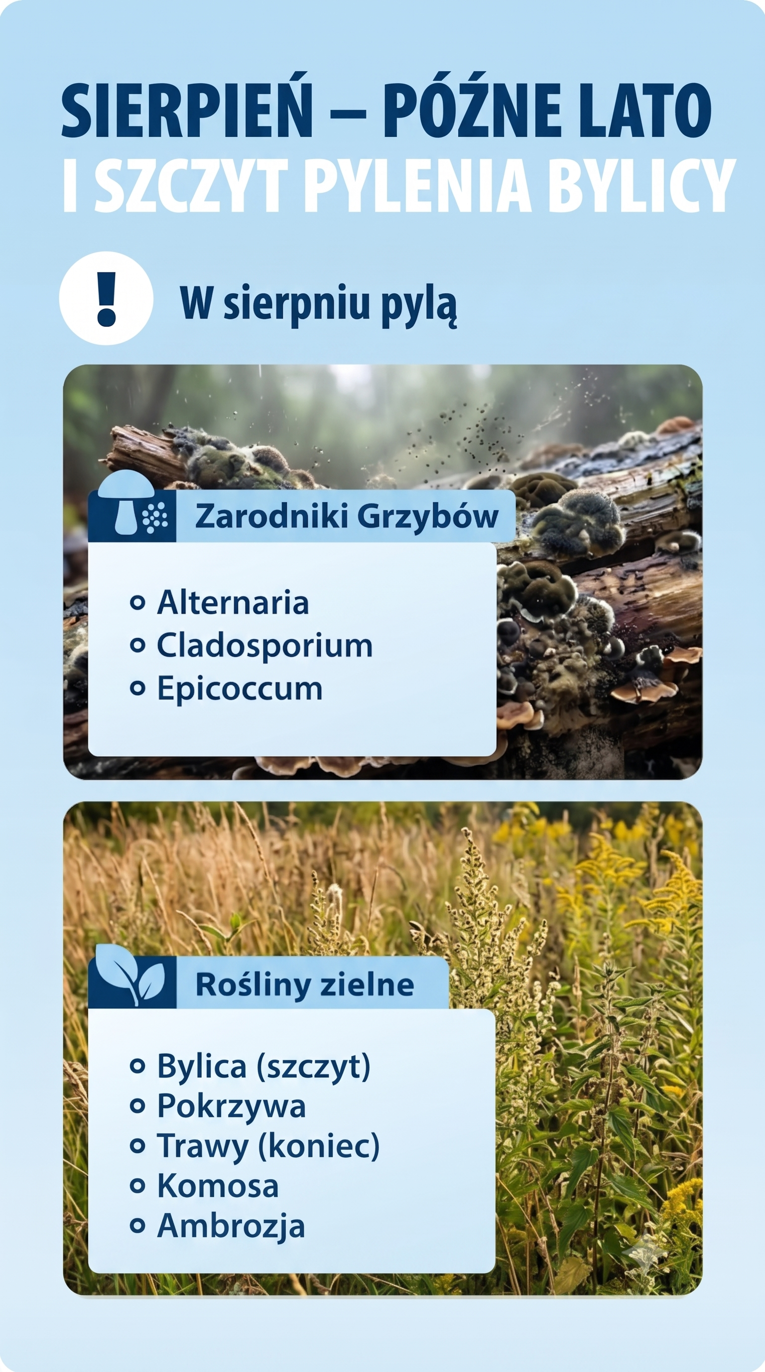 alergy calendar