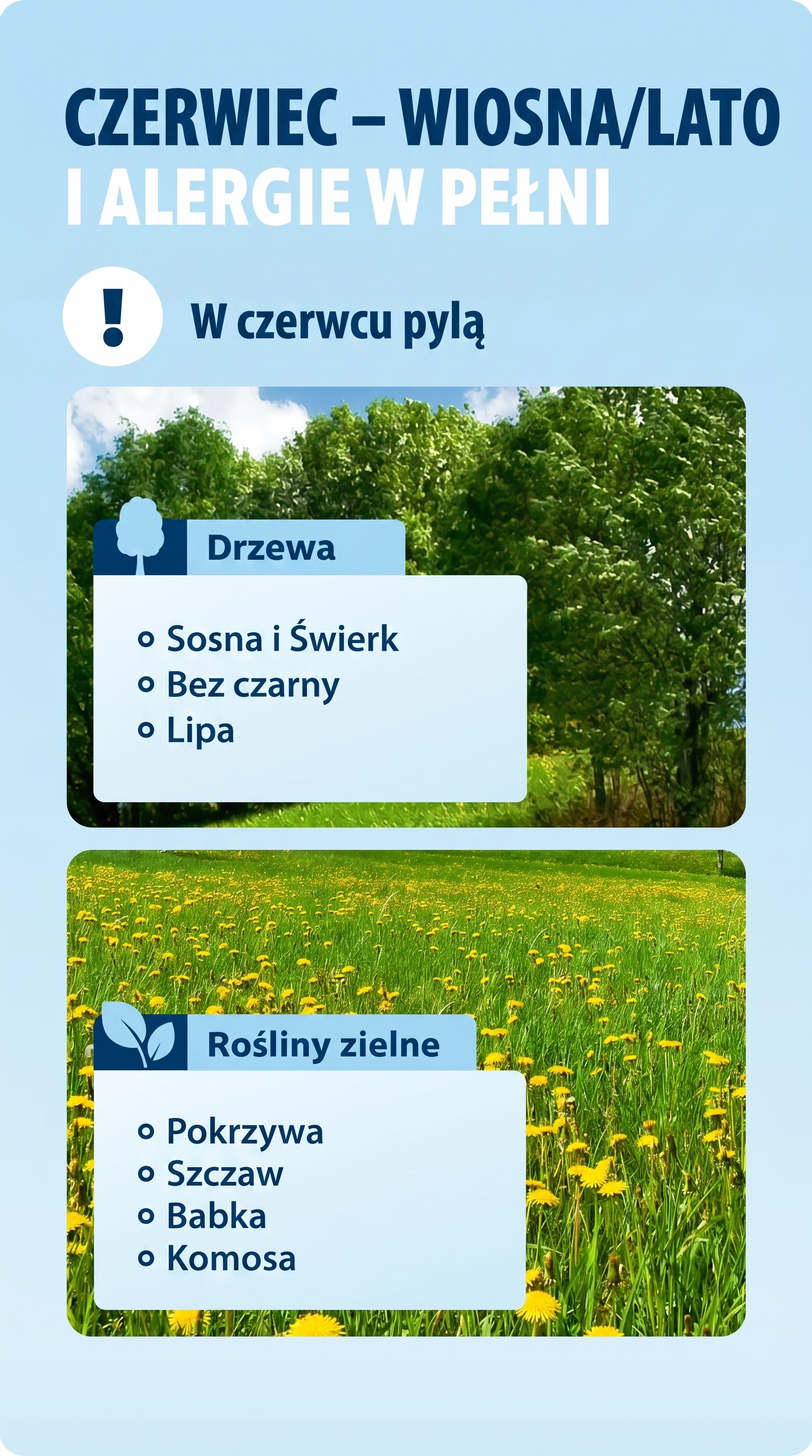 alergy calendar